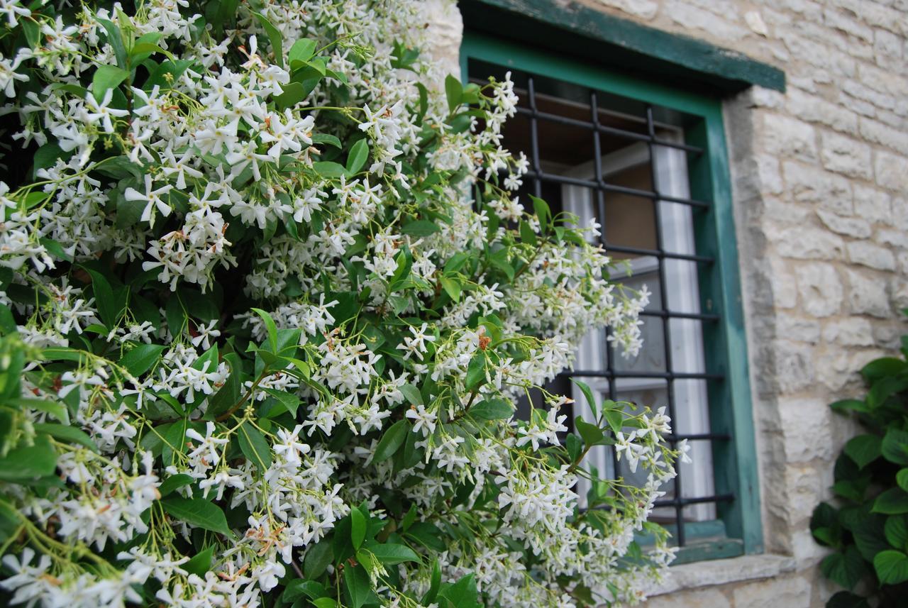Tritoxo Guesthouse Koukkoúlion Exterior foto